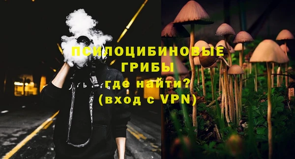 дмт Аркадак
